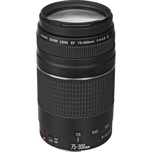 Lente Canon EF 75-300mm f/4-5.6 III. Garantia Canon Brasil