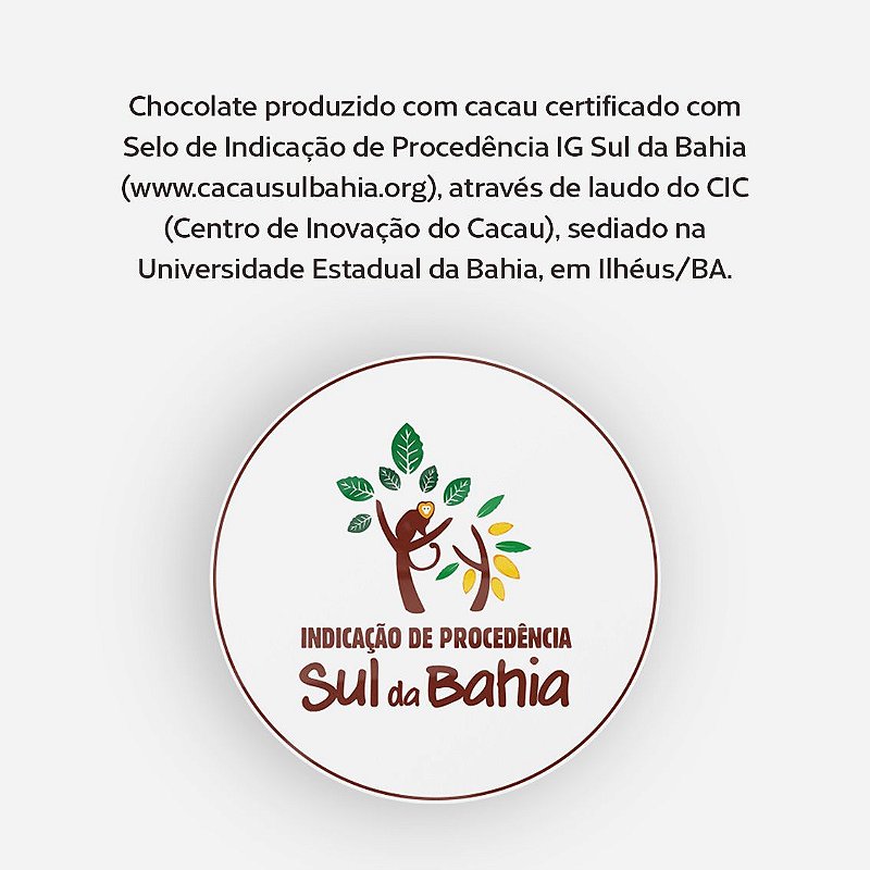 Chocolate Premium Intenso - 70% - 30g