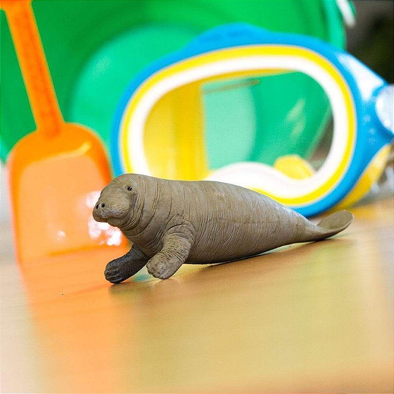 Figura Peixe-Boi Safari Ltd.