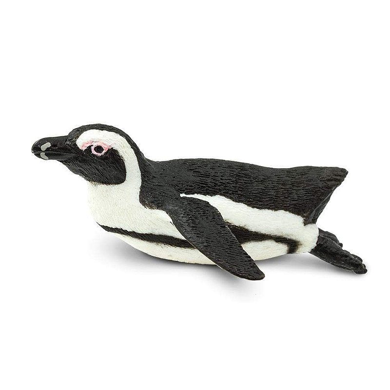Figura Pinguim Sul Africano Safari Ltd.