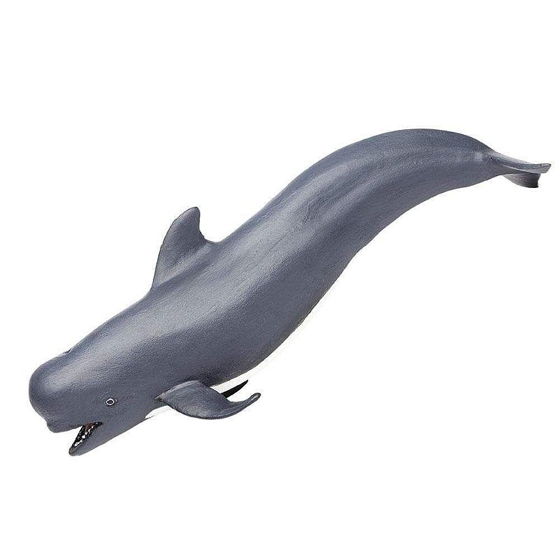 Figura Baleia Piloto Safari Ltd.