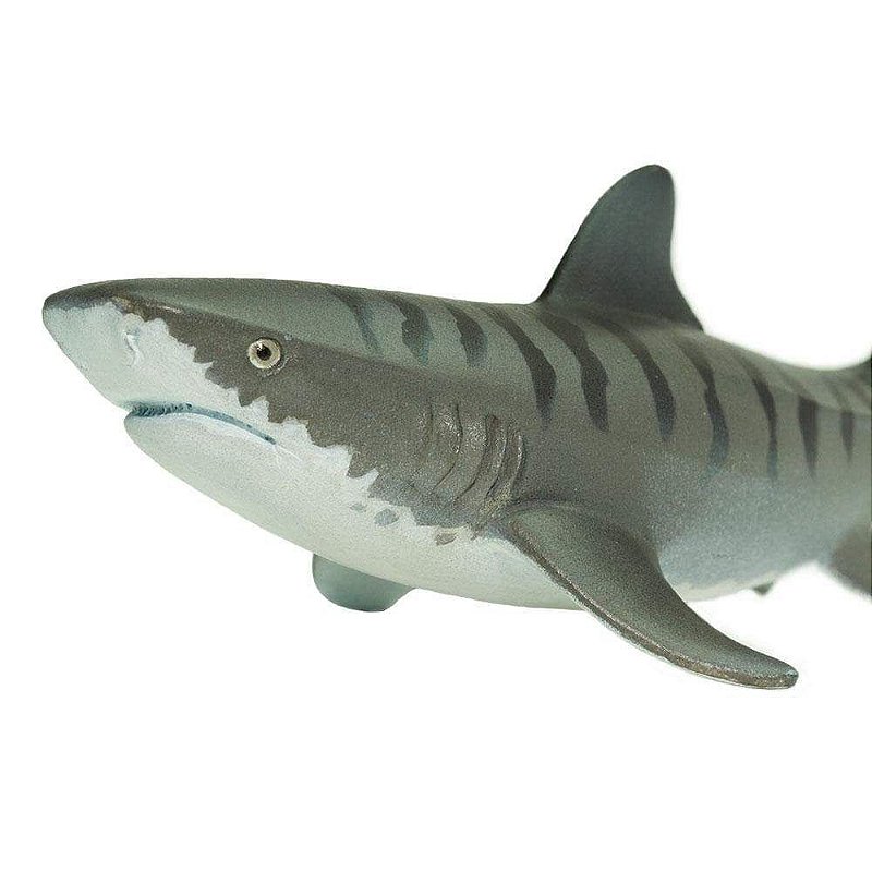 Figura Tubarão Tigre Safari Ltd.