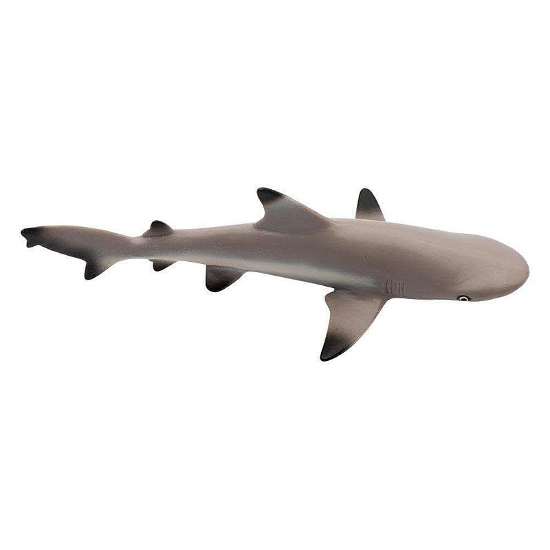 Figura Tubarão de Pontas Negras (Blacktip Reef Shark) Safari Ltd.