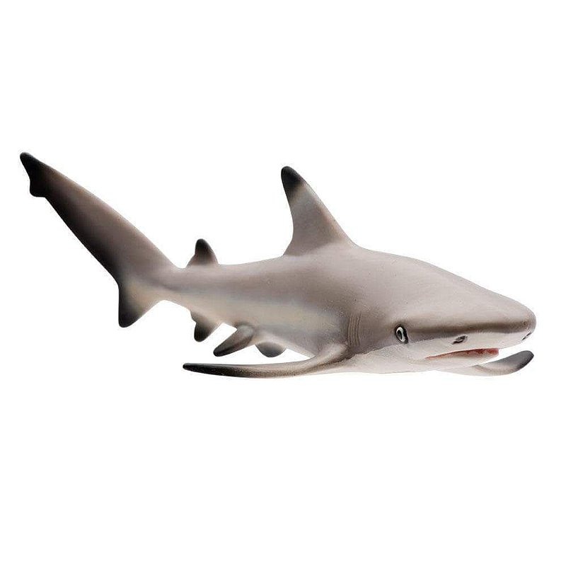 Figura Tubarão de Pontas Negras (Blacktip Reef Shark) Safari Ltd.