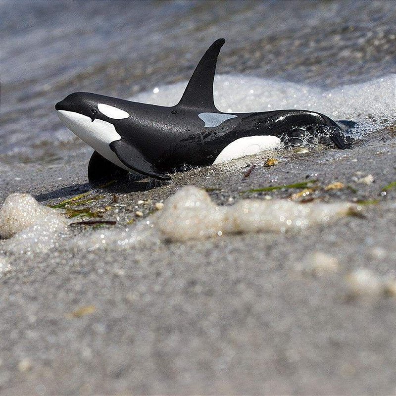 Figura Baleia Orca Safari Ltd.