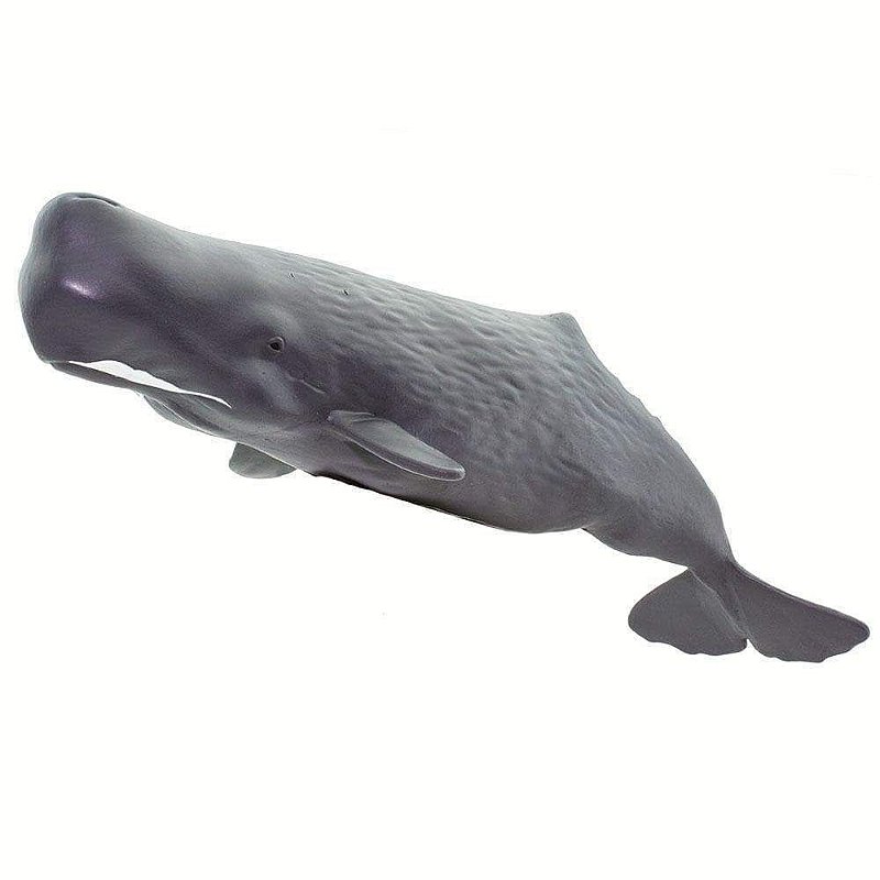 Figura Cachalote (Sperm Whale) Safari Ltd.