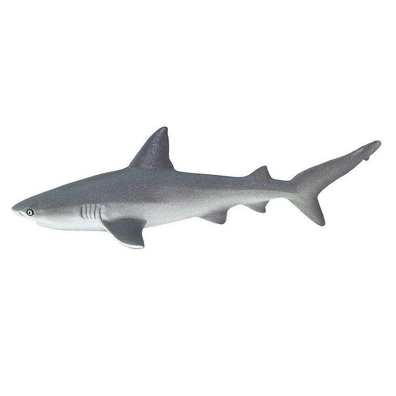 Figura Tubarão Cinzento (Gray Reef Shark) Safari Ltd.