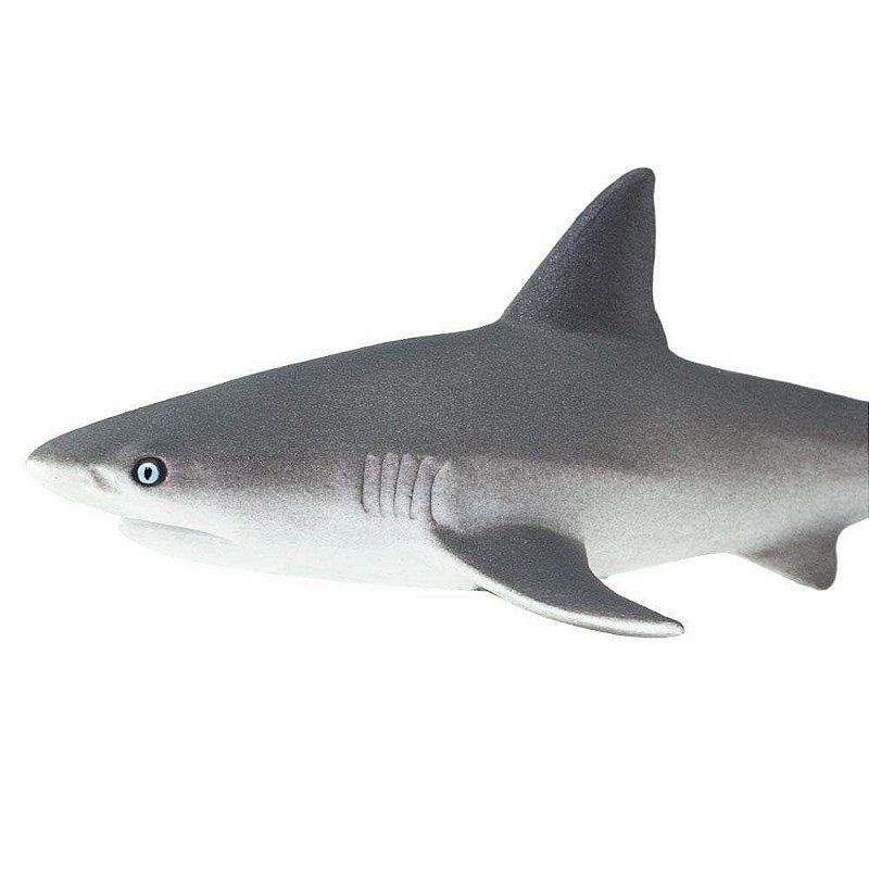 Figura Tubarão Cinzento (Gray Reef Shark) Safari Ltd.