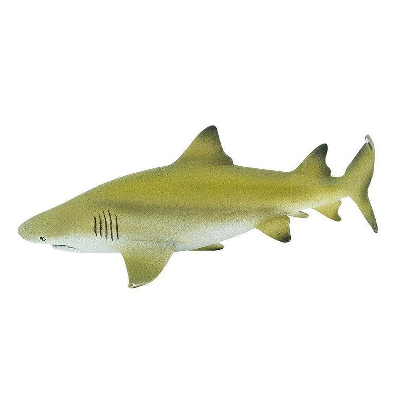 Figura Tubarão Limão (Lemon Shark) Safari Ltd.