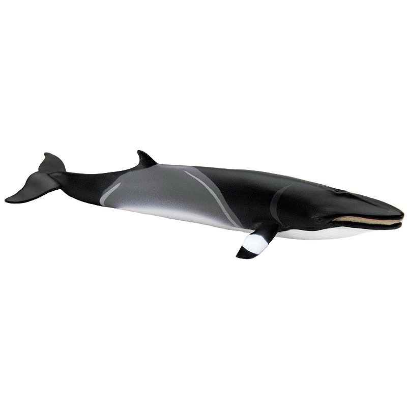 Figura Baleia Minke Safari Ltd.
