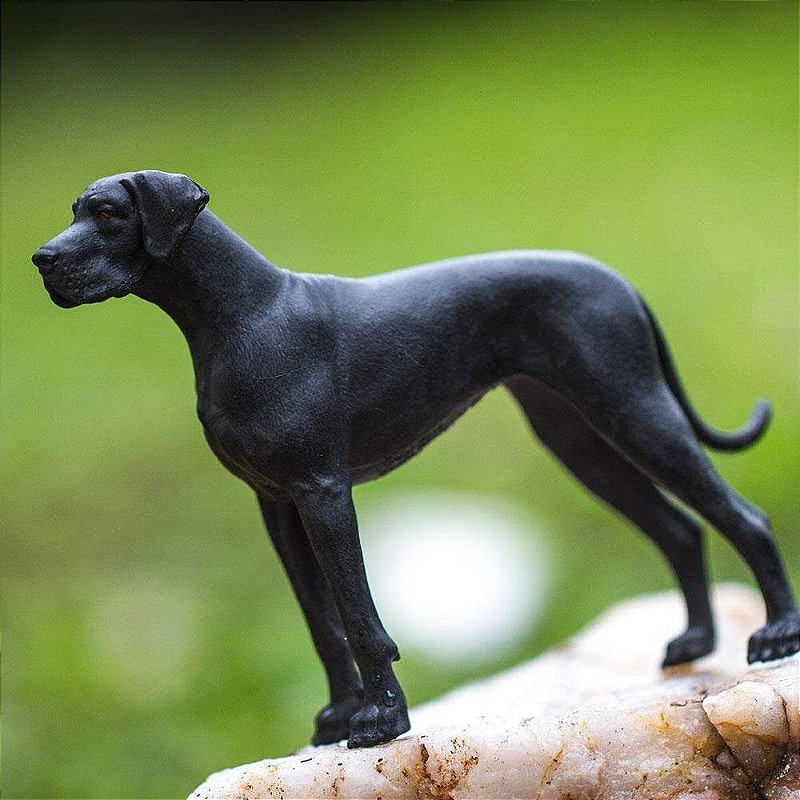 Figura Dogue Alemão Safari Ltd.