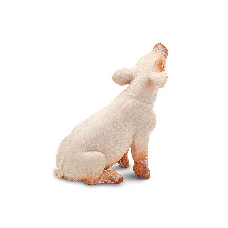 Figura Leitao Sentado Safari Ltd.