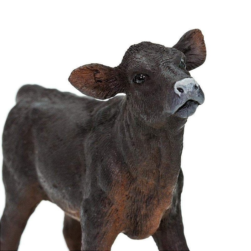 Figura Bezerro Angus Safari Ltd.