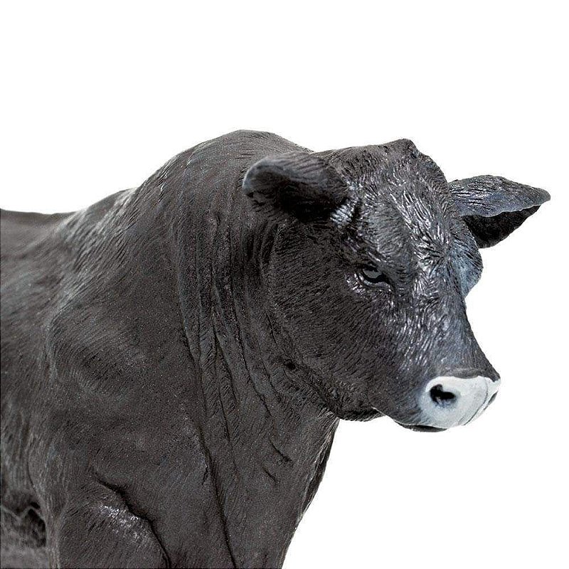 Figura Touro Angus Safari Ltd.