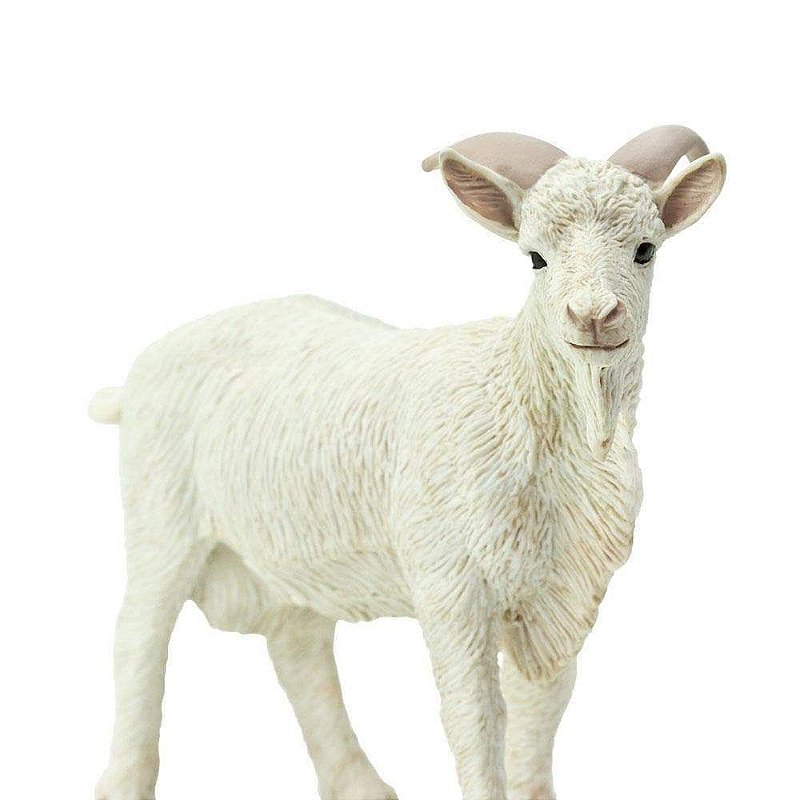 Figura Bode Safari Ltd.