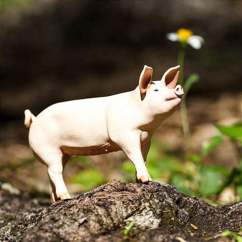Figura Porquinho Safari Ltd.