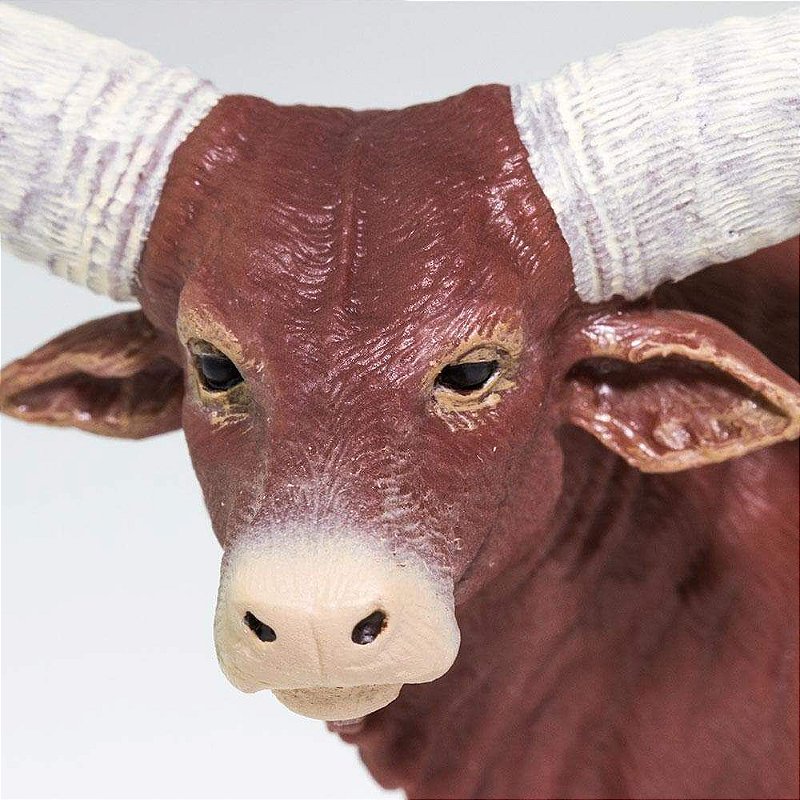 Figura Touro Watusi Safari Ltd.