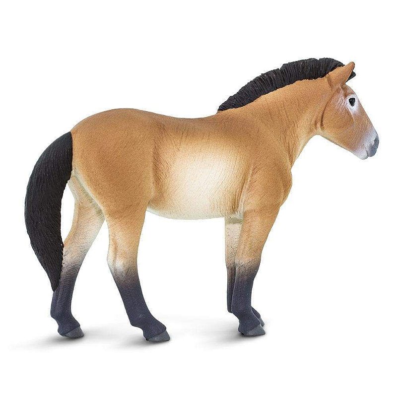 Figura Cavalo Przewalskis Safari Ltd.