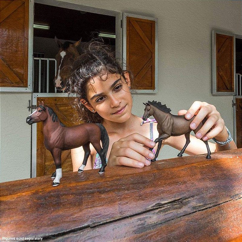 Figura Cavalo Morgan Stallion Safari Ltd.
