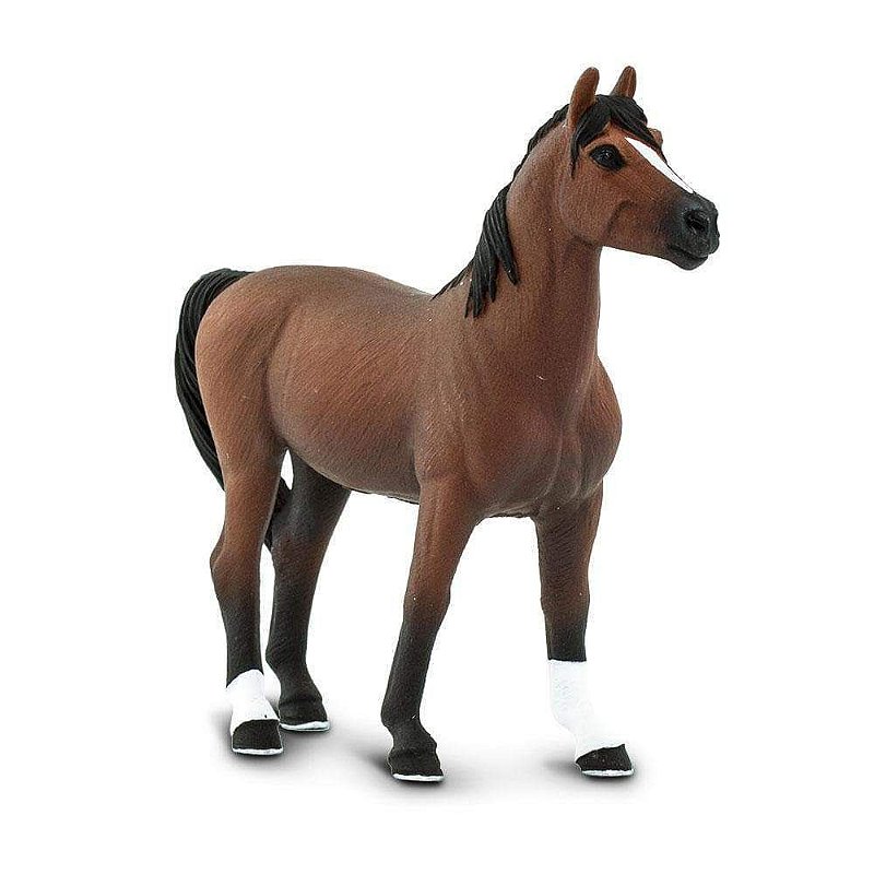 Figura Cavalo Morgan Stallion Safari Ltd.