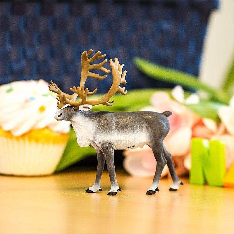Figura Rena Safari Ltd.