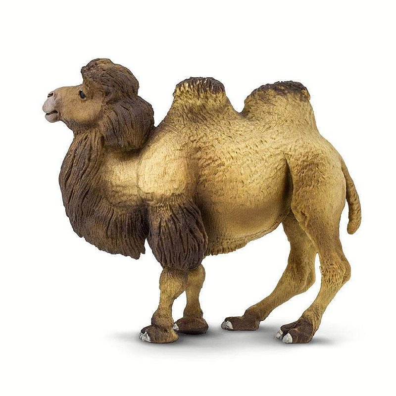 Figura Camelo Asiático Safari Ltd.