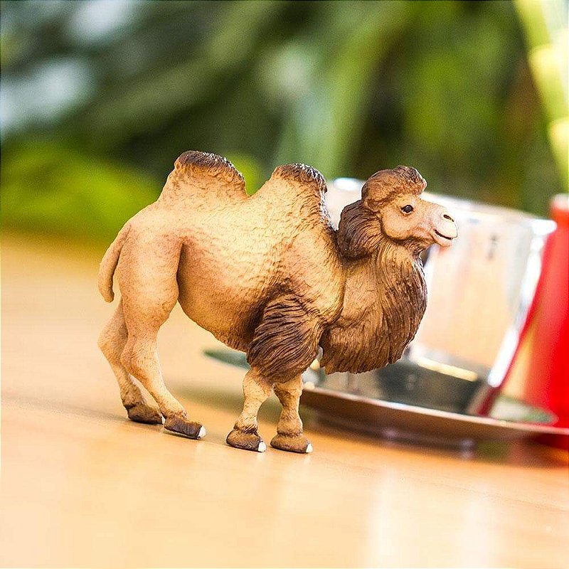 Figura Camelo Asiático Safari Ltd.