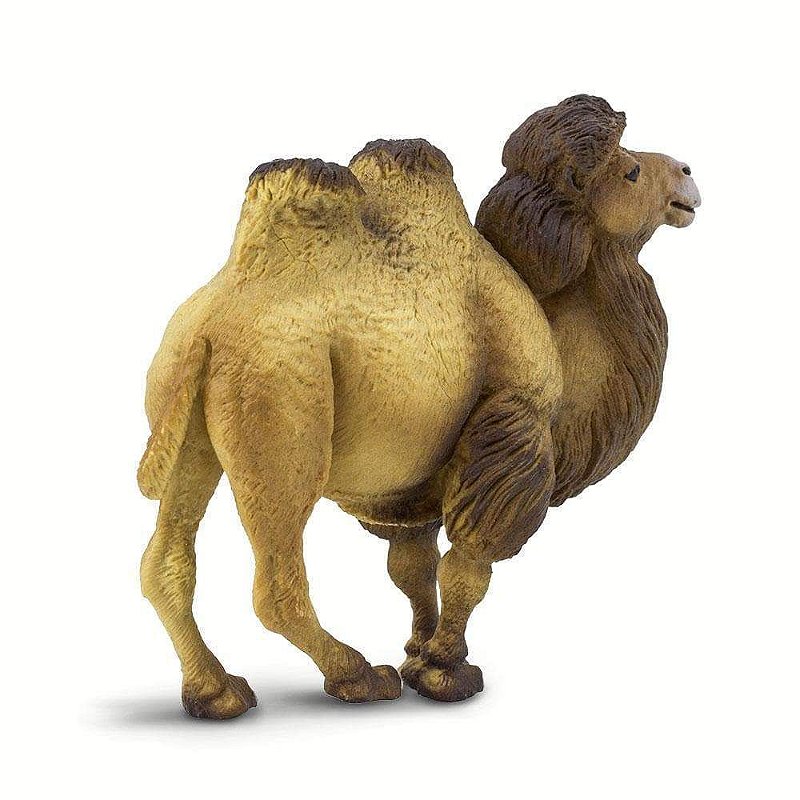 Figura Camelo Asiático Safari Ltd.