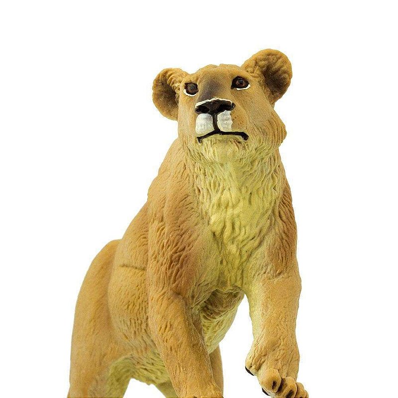 Figura Leoa Safari Ltd.