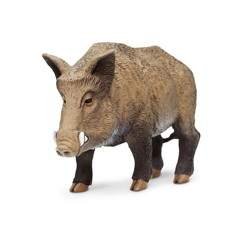 Figura Javali Safari Ltd.