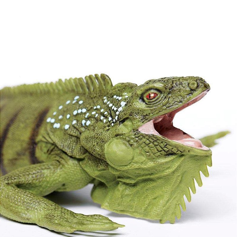 Figura Iguana Safari Ltd.