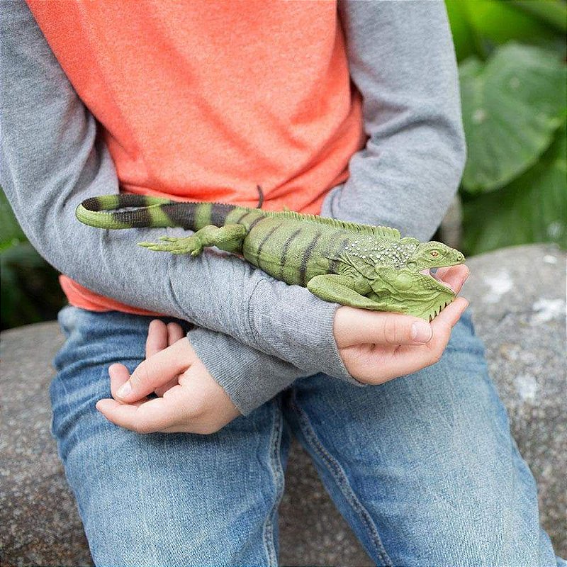 Figura Iguana Safari Ltd.