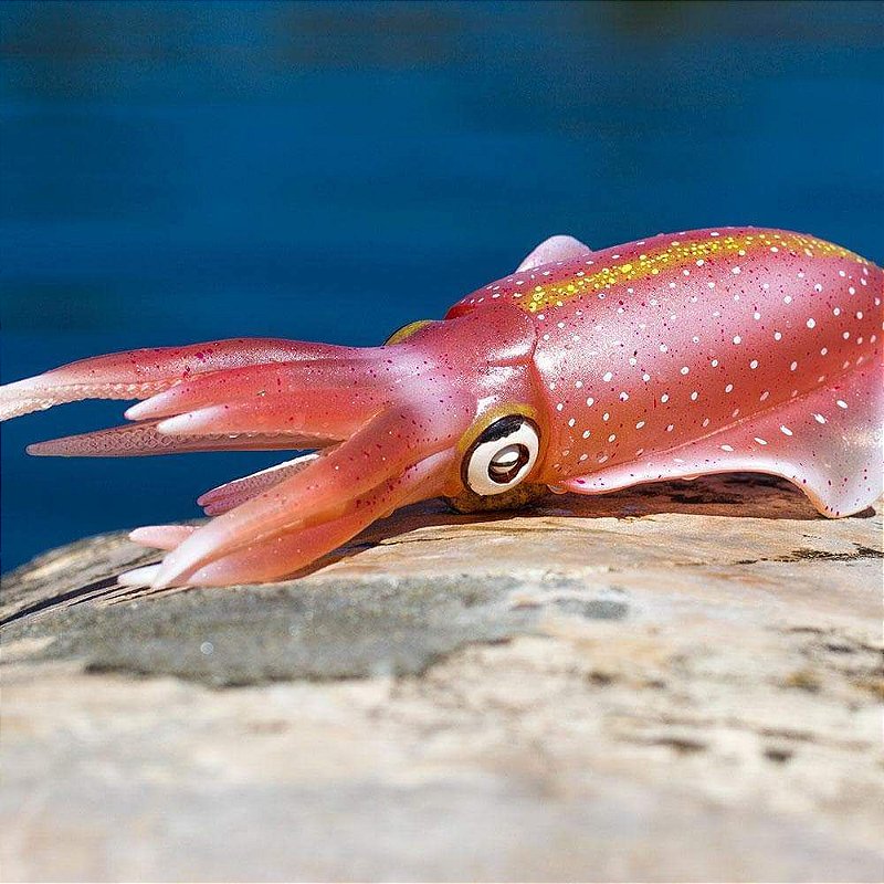 Figura Lula De Recifes Do Caribe (Reef Squid) Safari Ltd.