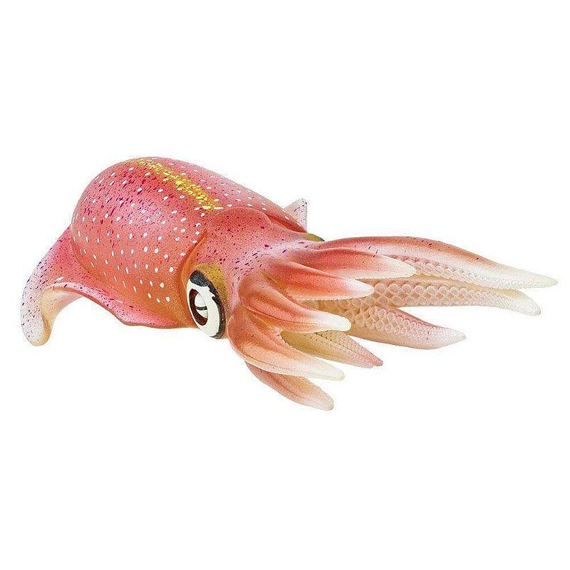 Figura Lula De Recifes Do Caribe (Reef Squid) Safari Ltd.