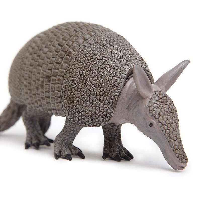 Figura Tatu Canastra Safari Ltd.