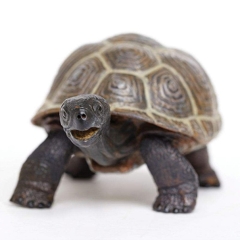 Figura Tartaruga Filhote Safari Ltd.