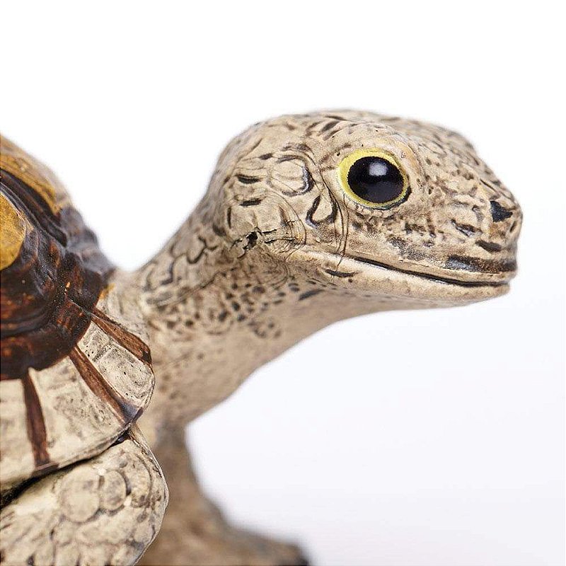 Figura Tartaruga Safari Ltd.