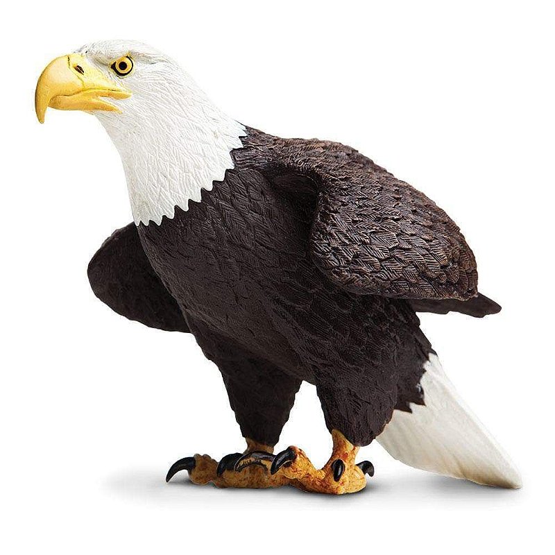 Figura Águia De Cabeça Branca (Bald Eagle) Safari Ltd.