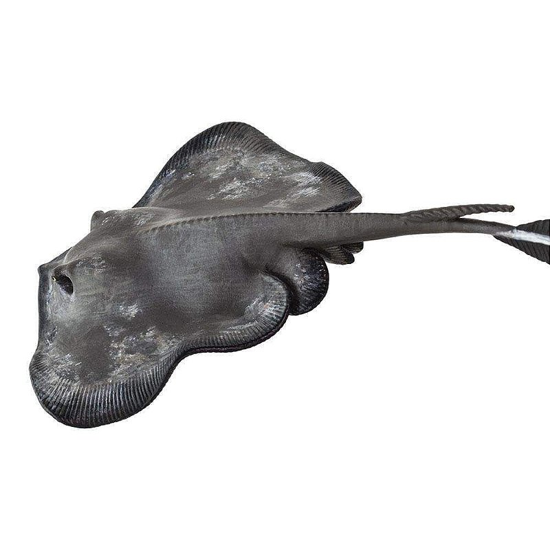 Figura Arraia Safari Ltd.