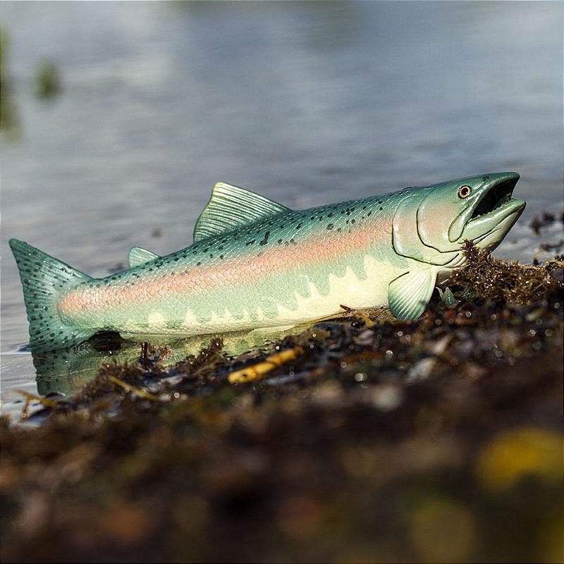 Figura Salmão Safari Ltd.