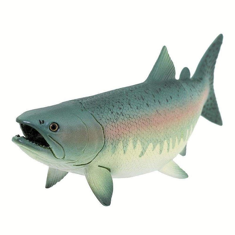 Figura Salmão Safari Ltd.