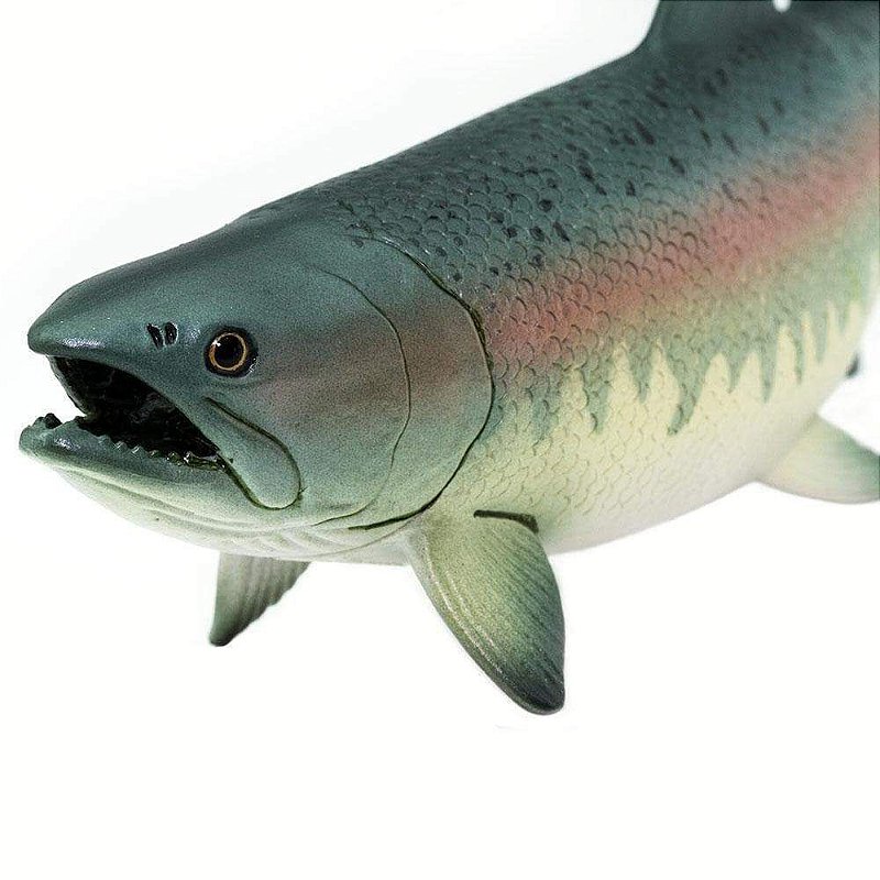 Figura Salmão Safari Ltd.