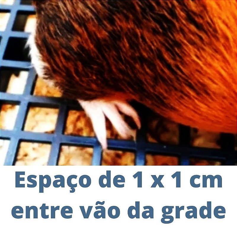 Banheiro Banheira Sanitario Porquinho Da India Rato Twister Bandeja Pequena Com Grade