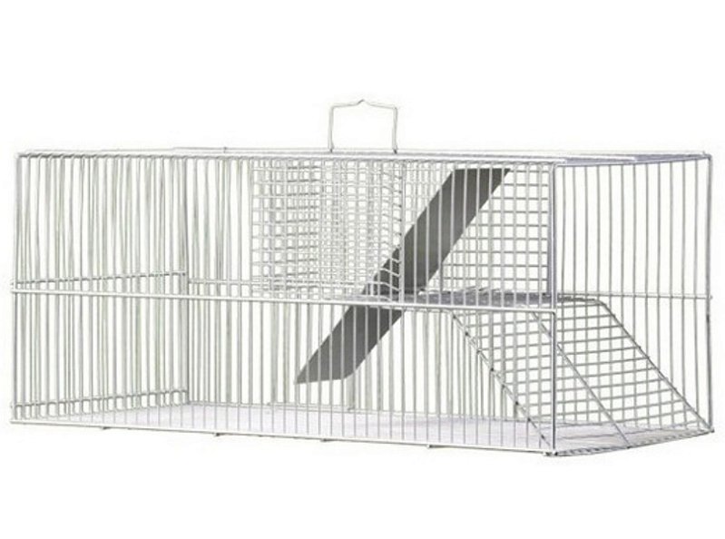 Ratoeira Gigante Fundo Falso Ratazanas Ratos Extra Grande 54 X 24 X 23cm
