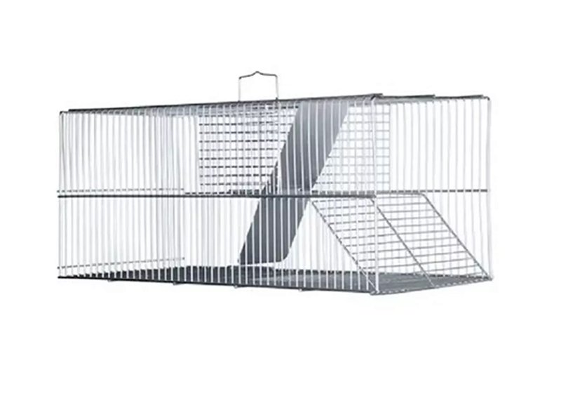 Ratoeira Gigante Fundo Falso Ratazanas Ratos Extra Grande 54 X 24 X 23cm