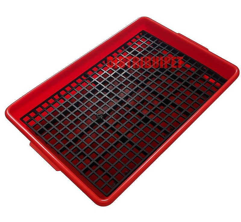 Bandeja Sanitário Saniplus Para Mini Coelho Porquinho da India Chinchila Cor Vermelho