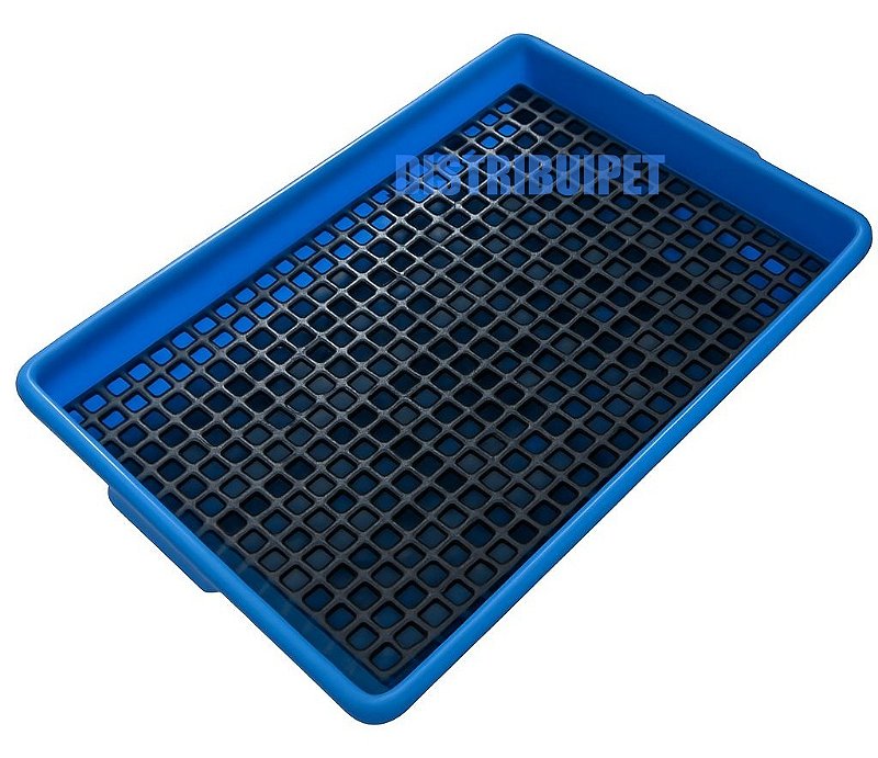 Bandeja Sanitário Saniplus Para Mini Coelho Porquinho da India Chinchila Cor Azul