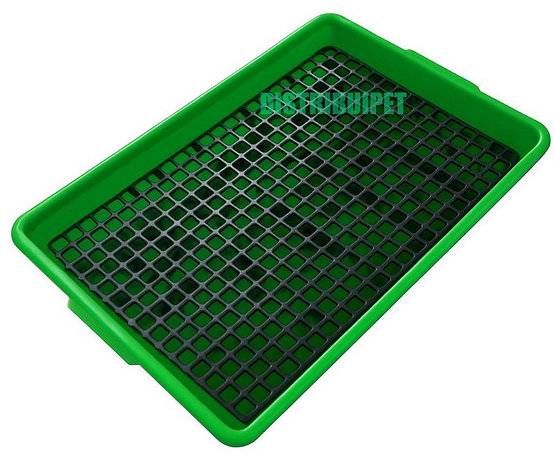 Kit Bandeja Sanitário Saniplus + Serragem e Comedouro Para Mini Coelho Porquinho da India Chinchila Cor Verde