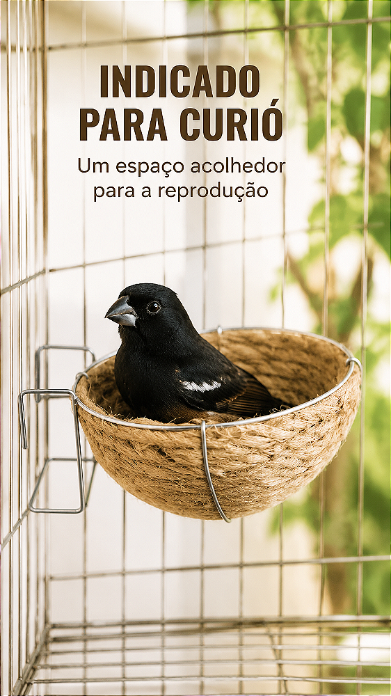 Ninho de Juta Curió