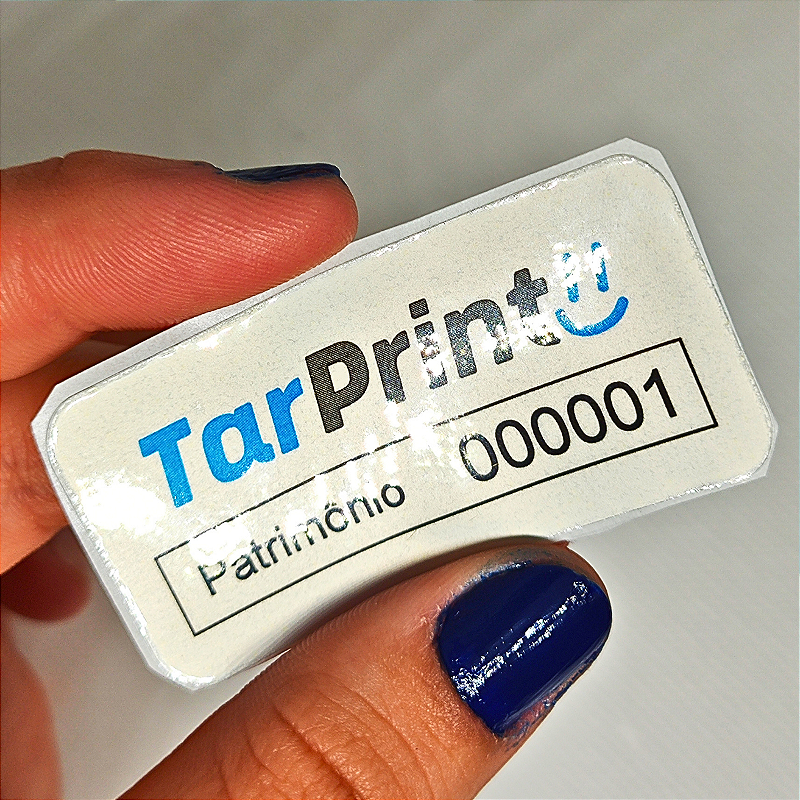 300 Etiquetas Poliéster Patrimonial 3x6 Cm Laminadas Prateado